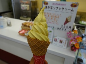 DSC09697_R