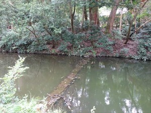 DSC07325_R