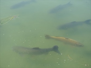 DSC00034_R