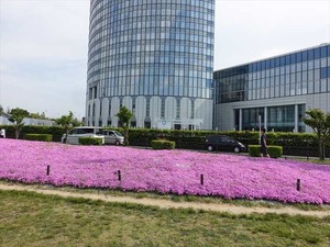 DSC05174_R