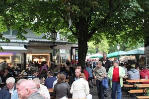 IMG_6617