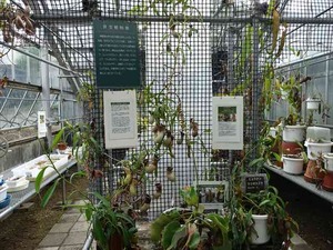 DSC09427_R