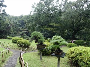 DSC02436_R