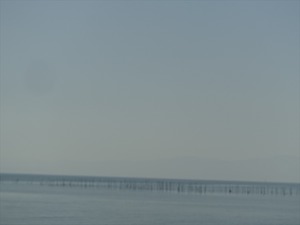 DSC05711_R