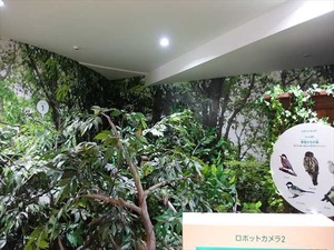 DSC02352_R
