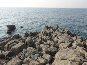 DSC06499_R