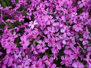 DSC05182_R