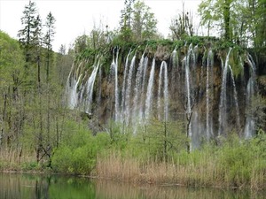 DSC00775_R