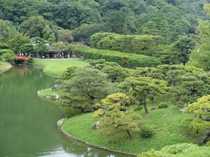 DSC09567_R