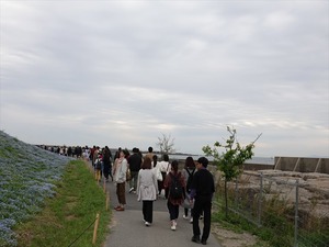 DSC00146_R