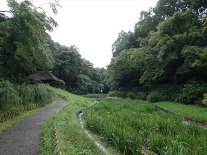 DSC02448_R