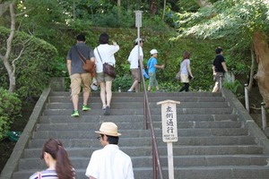 IMG_6568