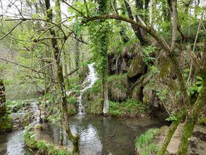 DSC00793_R