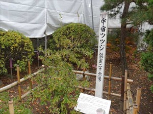 DSC01091_R