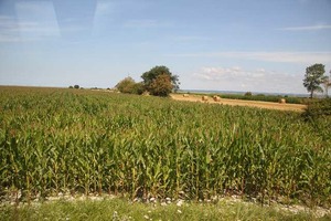 IMG_6123