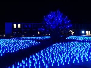 DSC02609_R