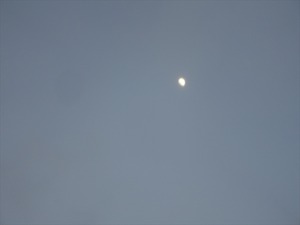 DSC03189_R