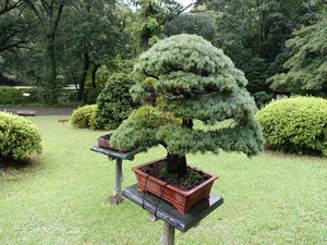 DSC02435_R
