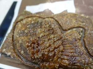 DSC05289_R