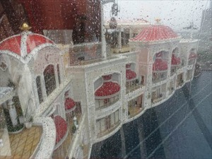 DSC02893_R