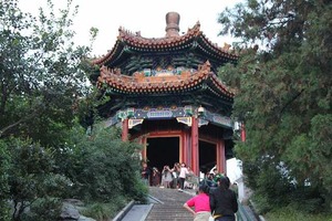 IMG_6907