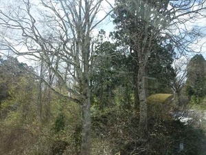 DSC04749_R