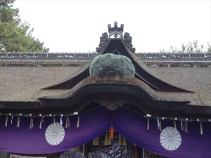 DSC01568_R