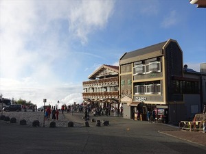 DSC02942_R