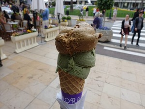 DSC09722_R