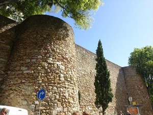 DSC07441_R
