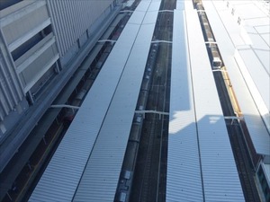 DSC00517_R