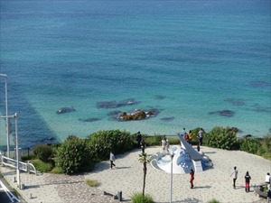 DSC09871_R