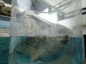 DSC08056_R