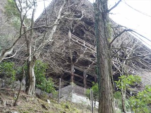 DSC08765_R