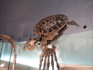 DSC05094_R