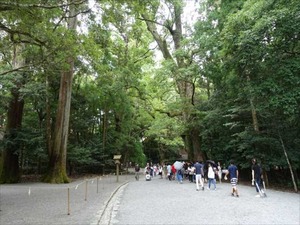 DSC07451_R