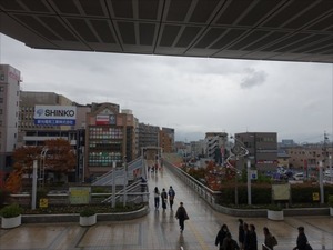 DSC01041_R