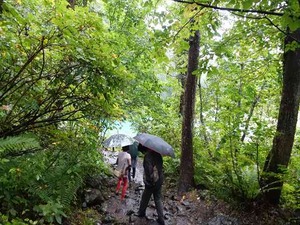 DSC08696_R