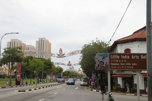 IMG_9681