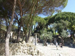 DSC07464_R
