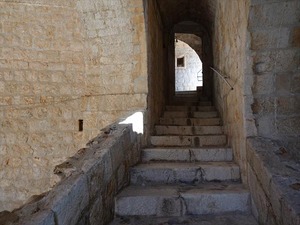 DSC02166_R