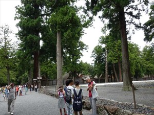 DSC07322_R