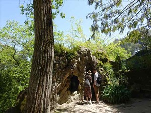 DSC06884_R
