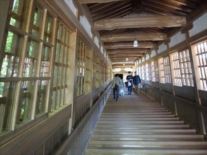 DSC05221_R