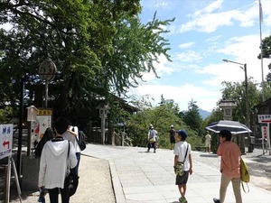 DSC01466_R