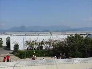 DSC00495_R