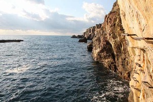 IMG_1134