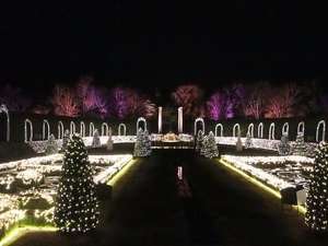 IMG_3702_R
