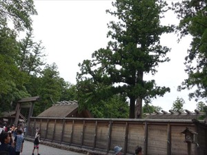 DSC07336_R