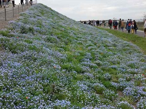 DSC00145_R